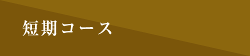 イノベーション短期集中コース